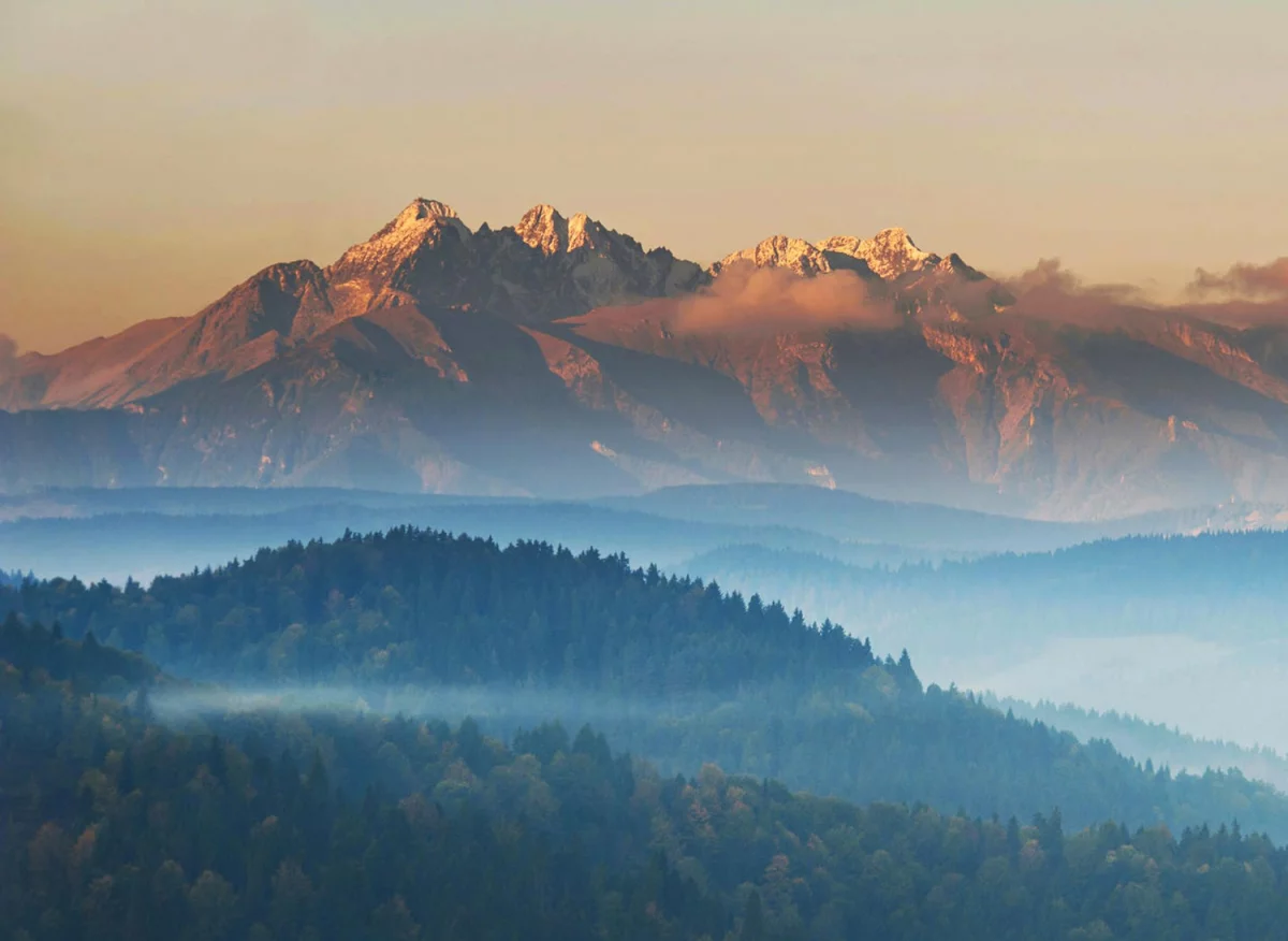 Ziarna kawy to podstawa