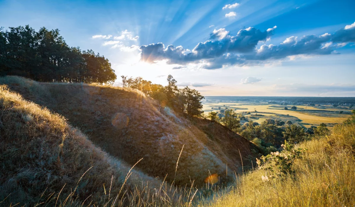 Jak w 2024 szybciej  oddać elektrośmieci?