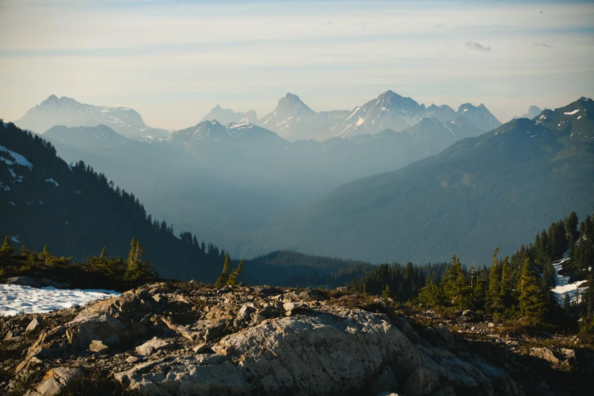 Nowy wątek jak ogarnąć finanse?