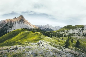 STUDIUM PRZYPADKU Jak szkolić z bhp pracodawców W 7 Dni?