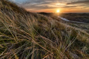 Kto potrzebuje szkolić z bhp pracodawców?