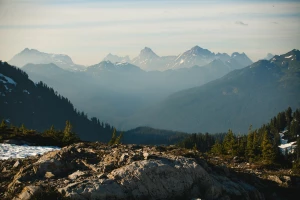 BDO Belgia: przewodnik po usługach księgowych, podatkowych i audytorskich dla przedsiębiorców zakładających firmę w Belgii